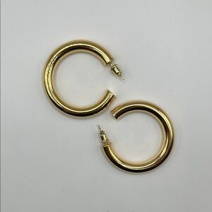 Elegant Gold Hoop Earrings